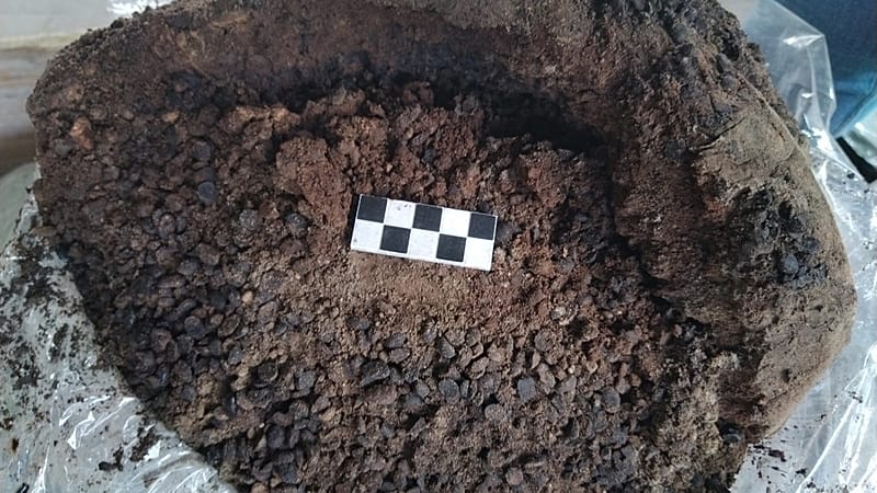 pompei-la-sorpresa-gli-schiavi-avevano-una-dieta-che-oggi-chiameremmo