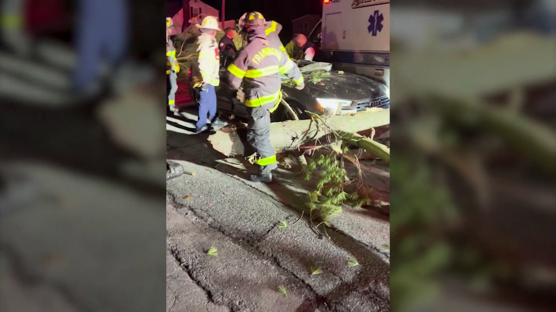 Driver taken to hospital after tree falls on car in Mass. city