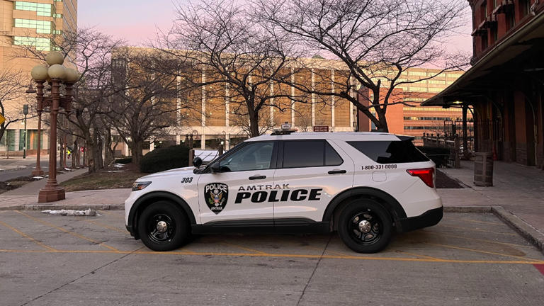 What actually makes police cars faster than civilian cars