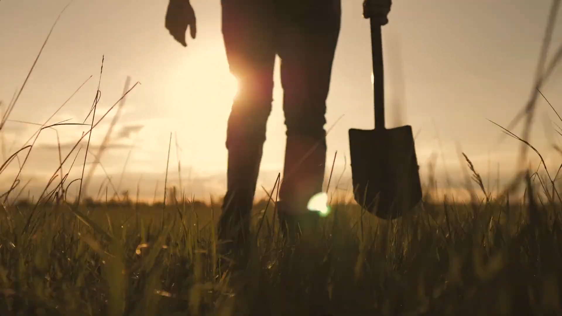 How settlers survived the brutal reality of the American frontier