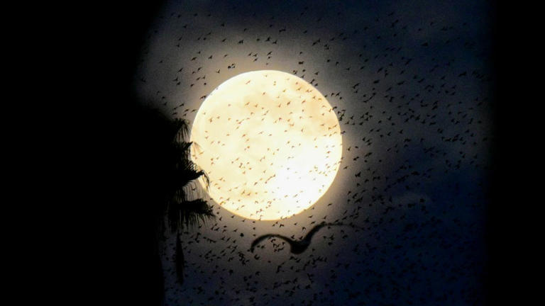 December's 'cold moon' rises: See breathtaking images of the final full ...