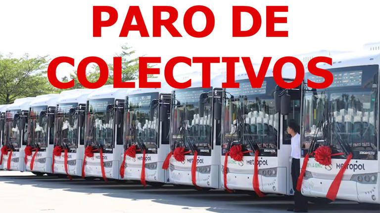 Paro de colectivos hoy: a qué líneas afecta y cuándo termina