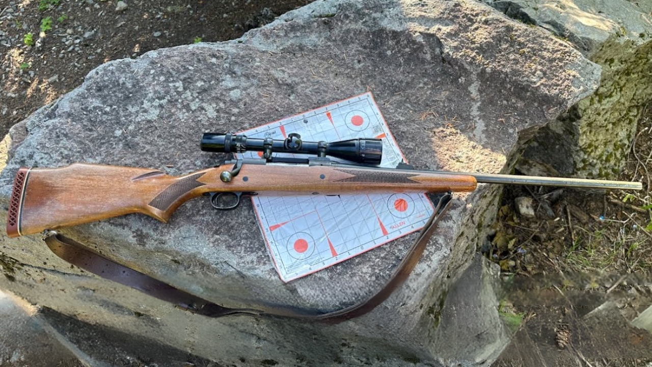 20 forgotten rifles that deserve a second look