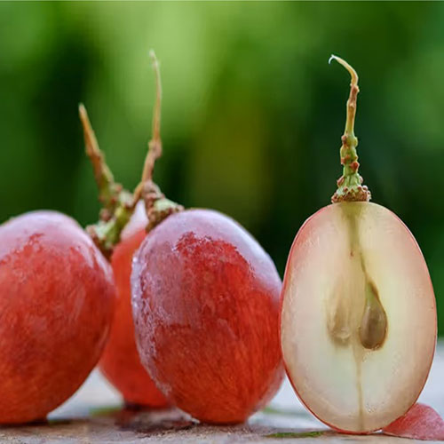 Health benefits of seeded grapes: Tiny seeds with powerful goodness - Seeded Grapes In Dog'S Nutrient Imbalance