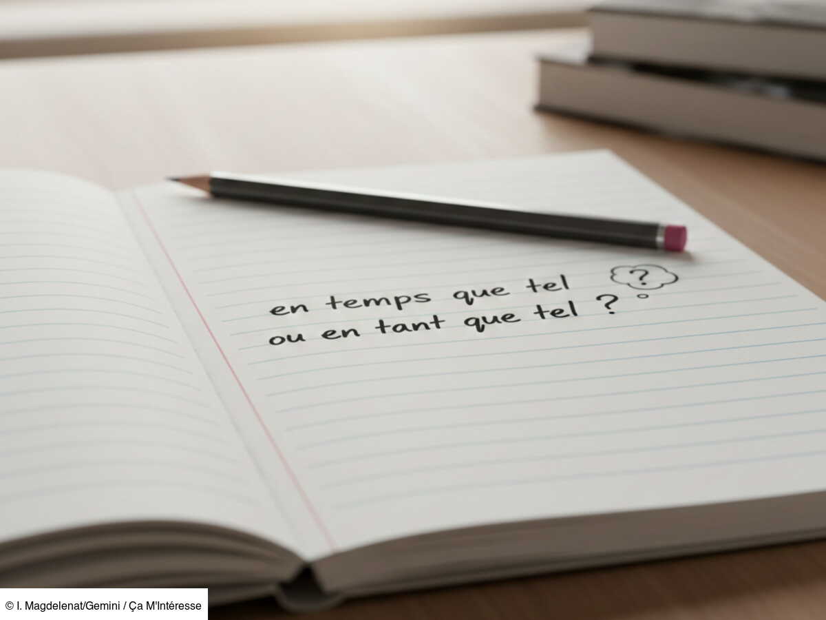 Orthographe : l'erreur que tout le monde fait avec « en tant que tel ...