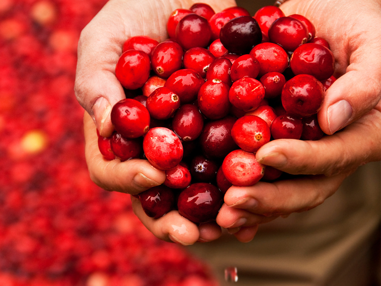 Cranberries are great for diabetes and liver health: Now experts say ...