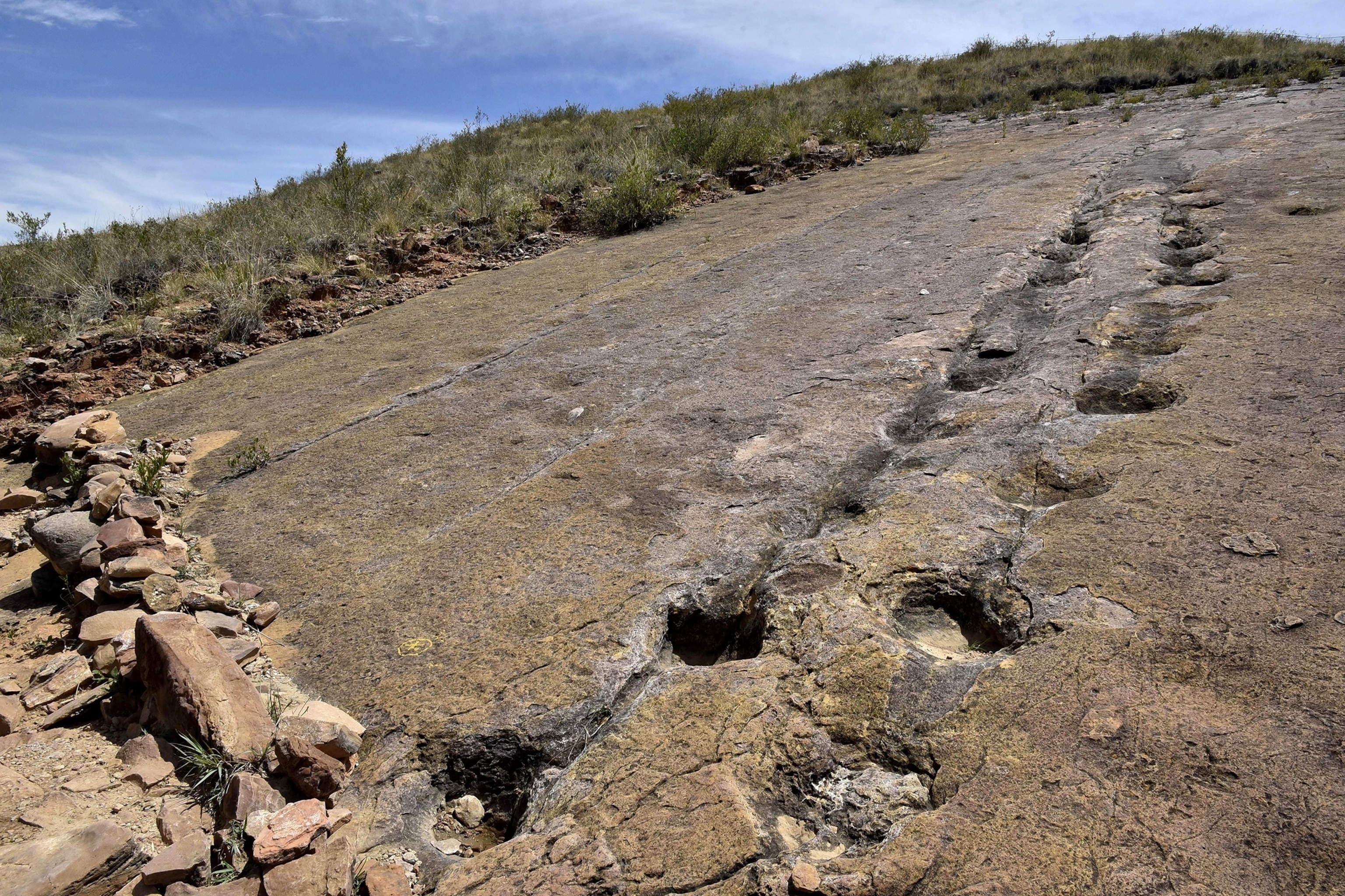 Here's where paleontologists found thousands of dinosaur tracks