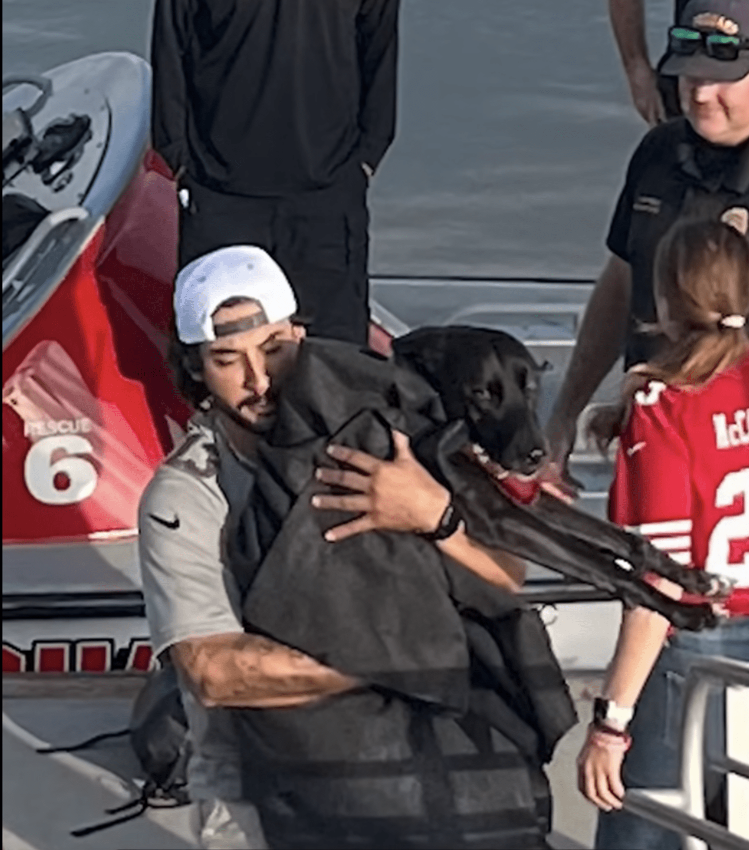Lifeguards rescue missing dog found nearly 1 mile out to sea