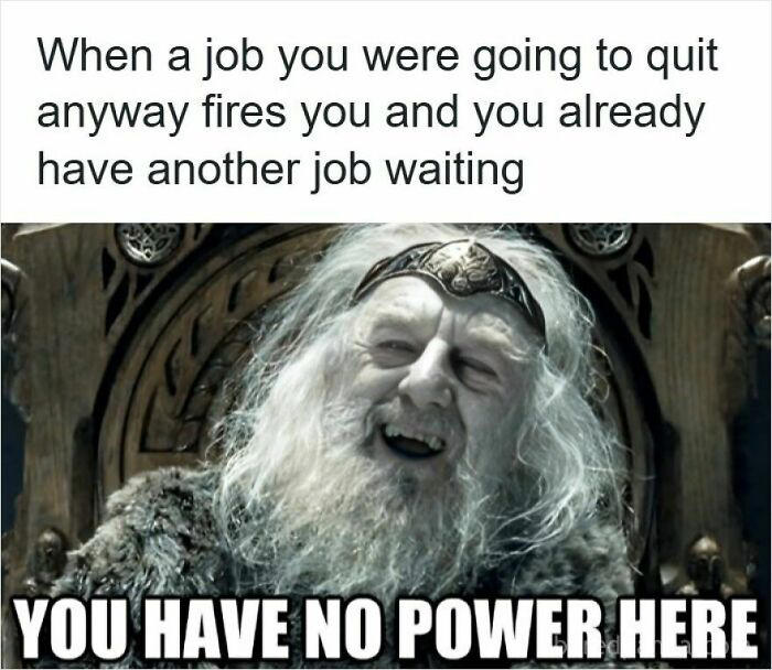 So why did you get fired?: 49 memes to brighten your day if you just ...