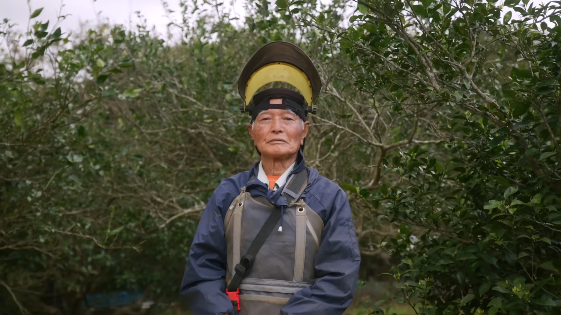 This island’s elders work at 85, play at 97, and still outlive the rest ...