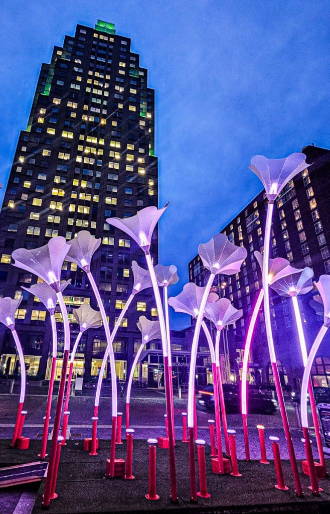 Illuminate Art Walk 2025: A downtown Raleigh holiday tradition