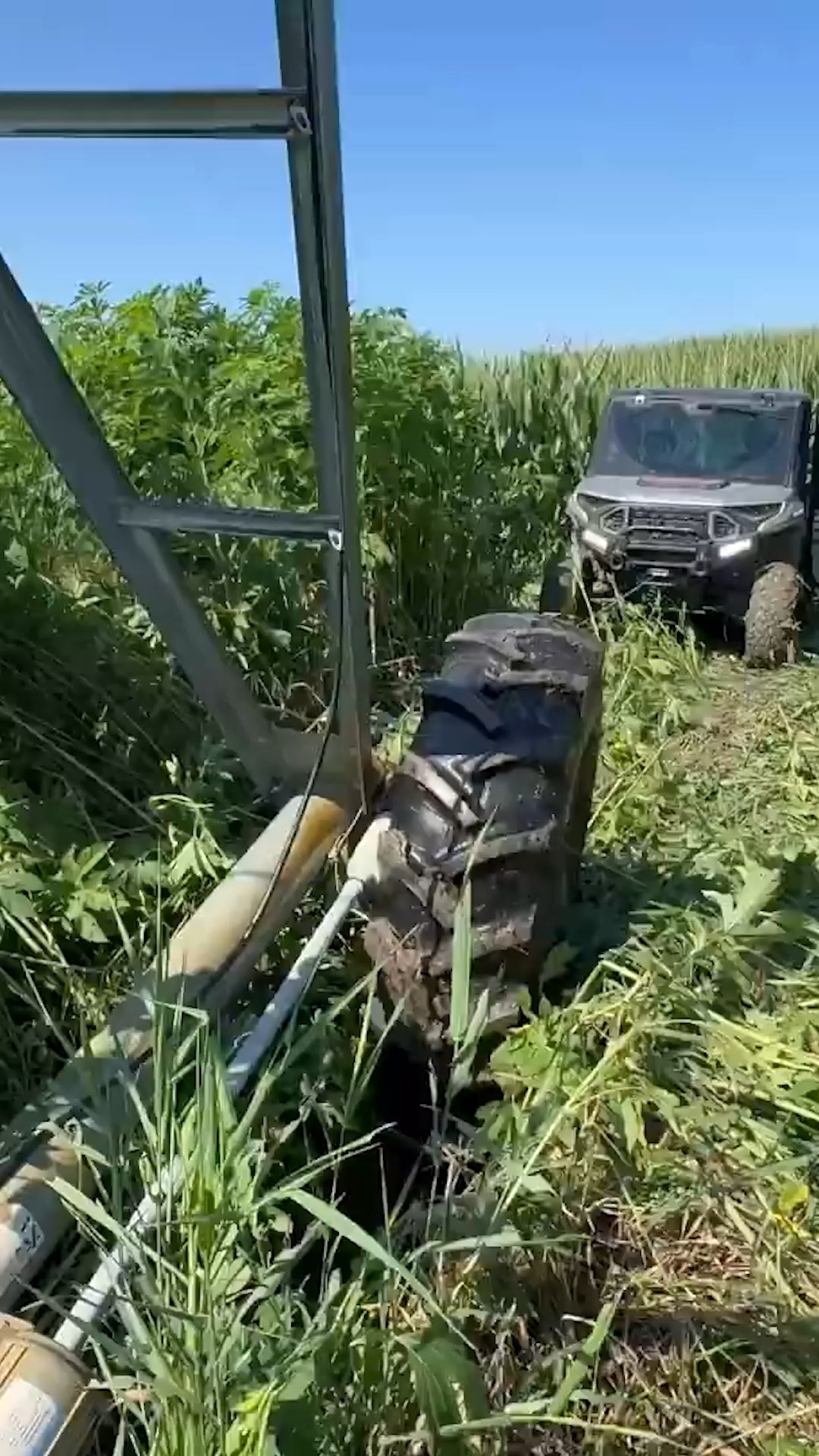 Just a normal day on the farm
