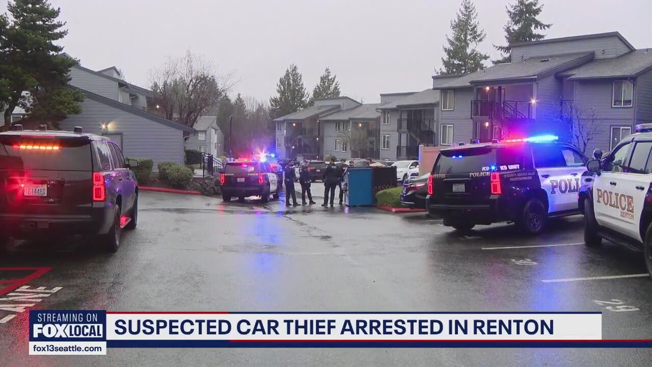Renton police arrest suspected car thief after standoff in parking lot