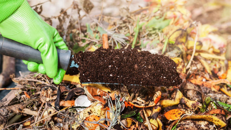 10 green materials that give your compost pile a serious nitrogen boost