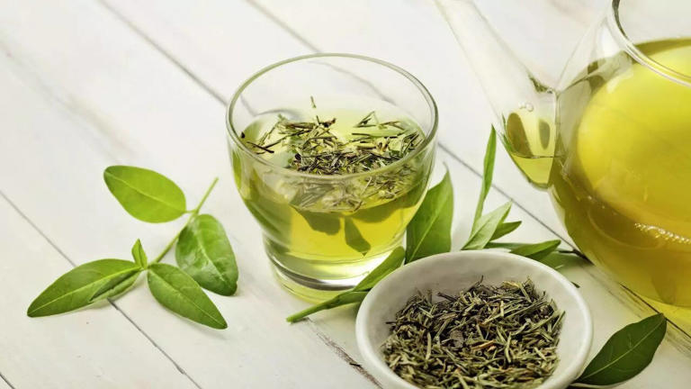 When should you drink green tea? Morning or evening, science has an answer