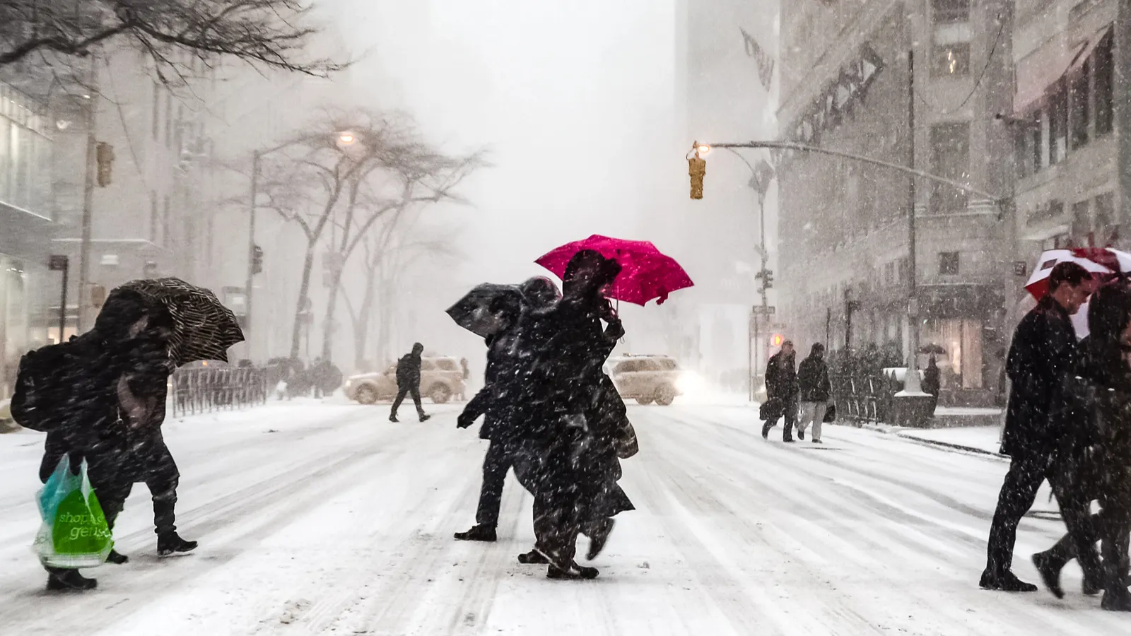 Travel halted in NYC as storm slams region