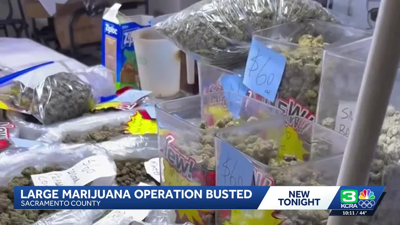 Sacramento County deputies bust illegal marijuana operation