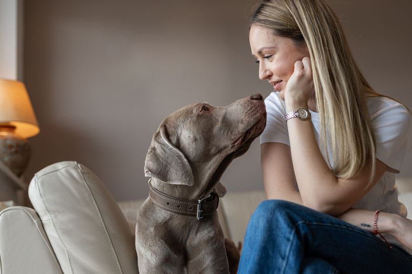 Expert's 'unnoticed sign' that your dog is stressed this Christmas