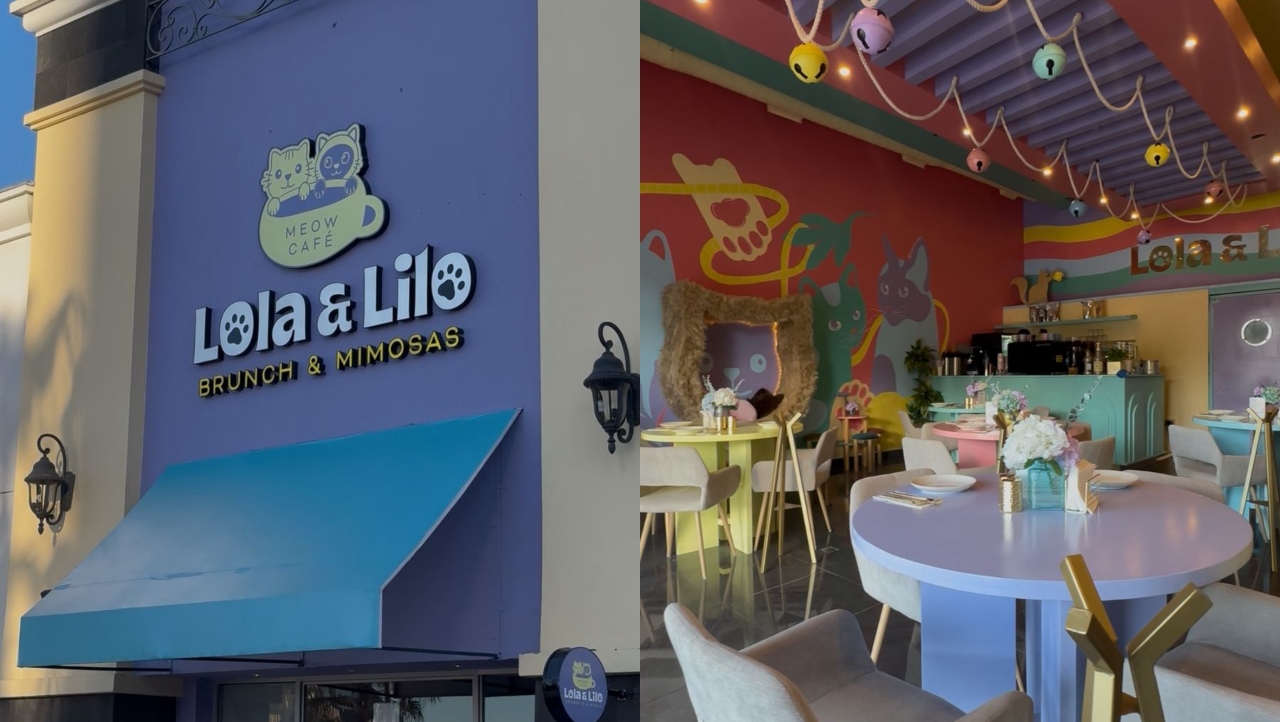 Lola & Lilo: El nuevo restaurante temático de gatos que llegó a Tijuana