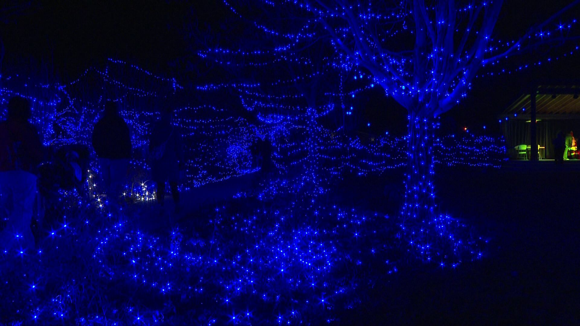 Blue light display returns to Western Colorado Botanical Gardens
