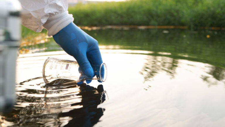 Sunlight-powered catalyst targets toxic forever chemicals in water and soil