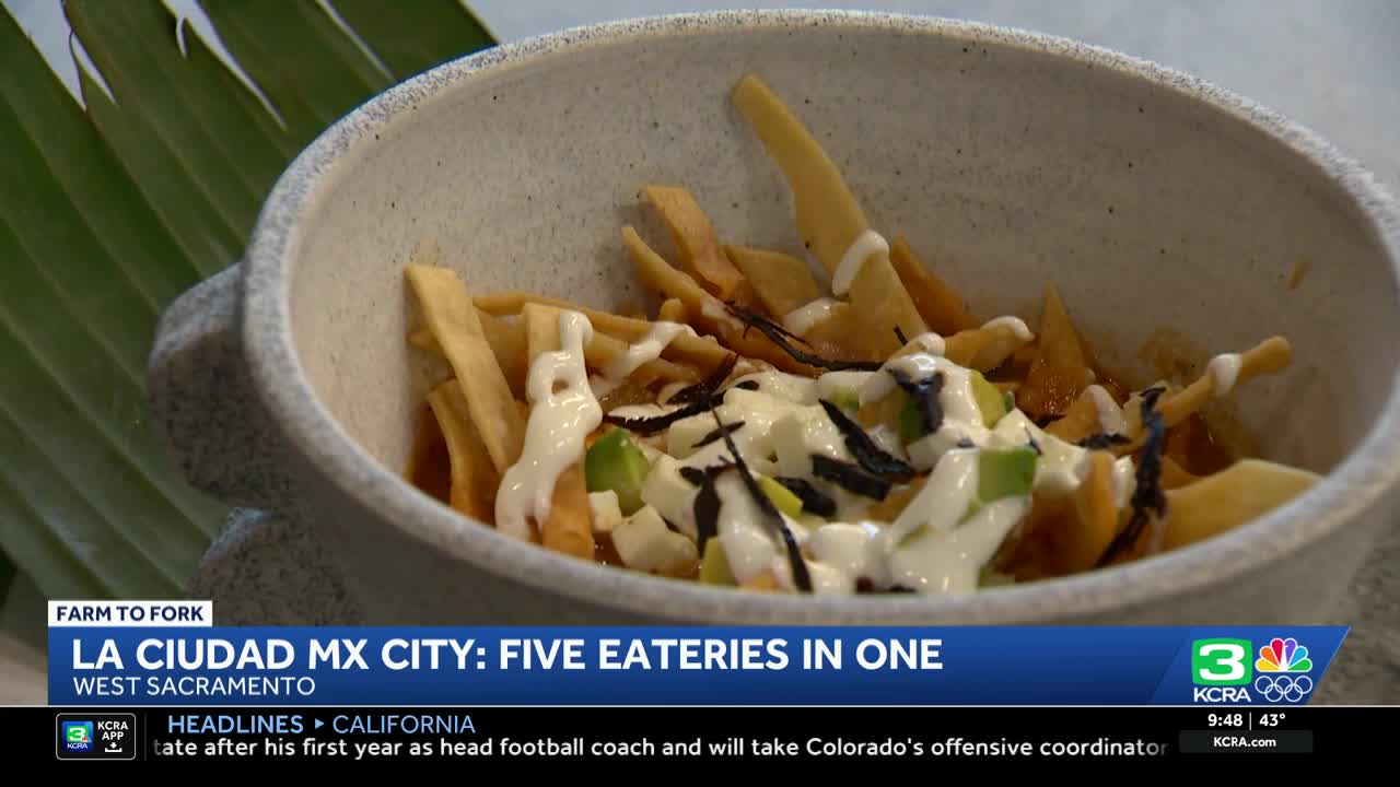 Farm-to-fork Friday: A sample of Mexico City cuisine in West Sacramento
