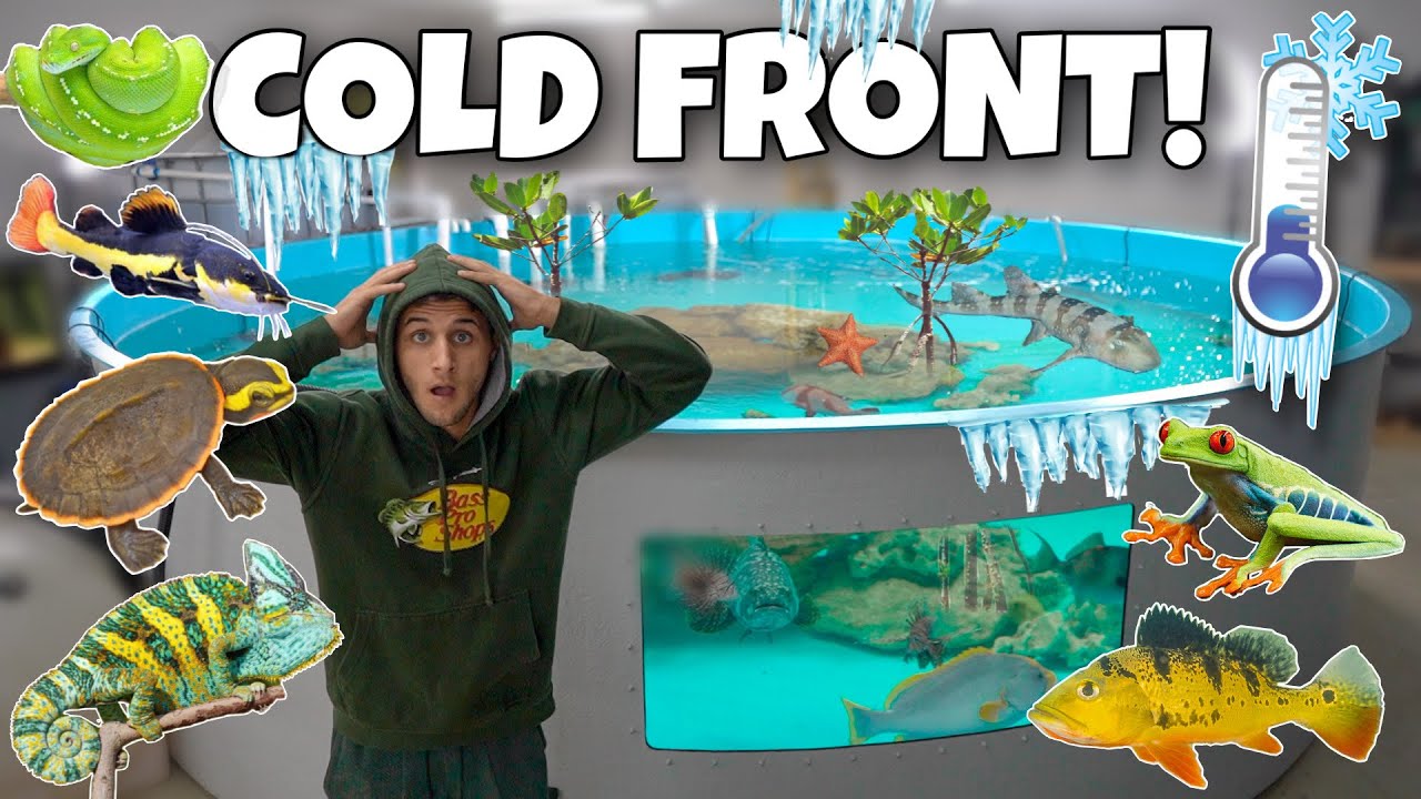 Preparing my animals for freezing temperatures!