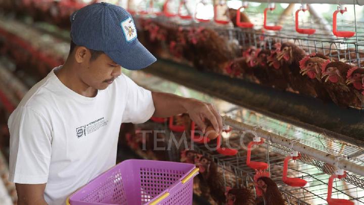 BPOM Dorong Penggunaan Bahan Lokal untuk MBG