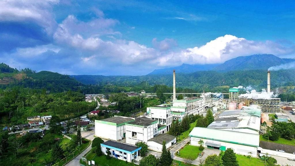 Siapa Pemilik PT Toba Pulp Lestari? Ini Profil dan Perkembangannya