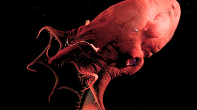 AA1RPJTE This week in science: Vampire squid, a galactic tornado, and much more!