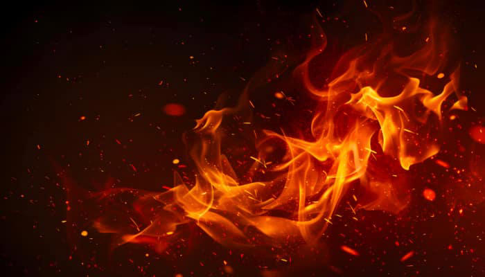 Bush fire destroys multiple homes in Australian state of New South Wales