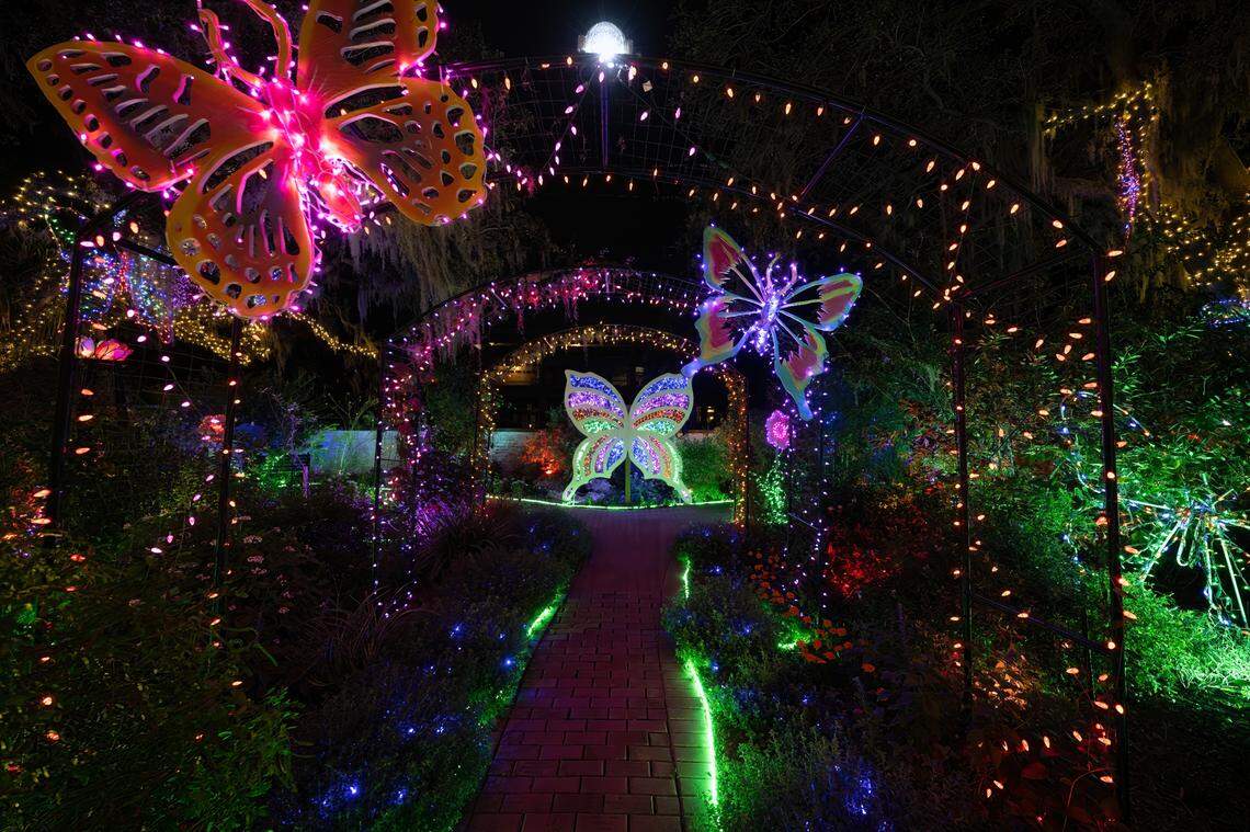 Where to see Bradenton's best Christmas light displays this holiday season, image size:1140x759