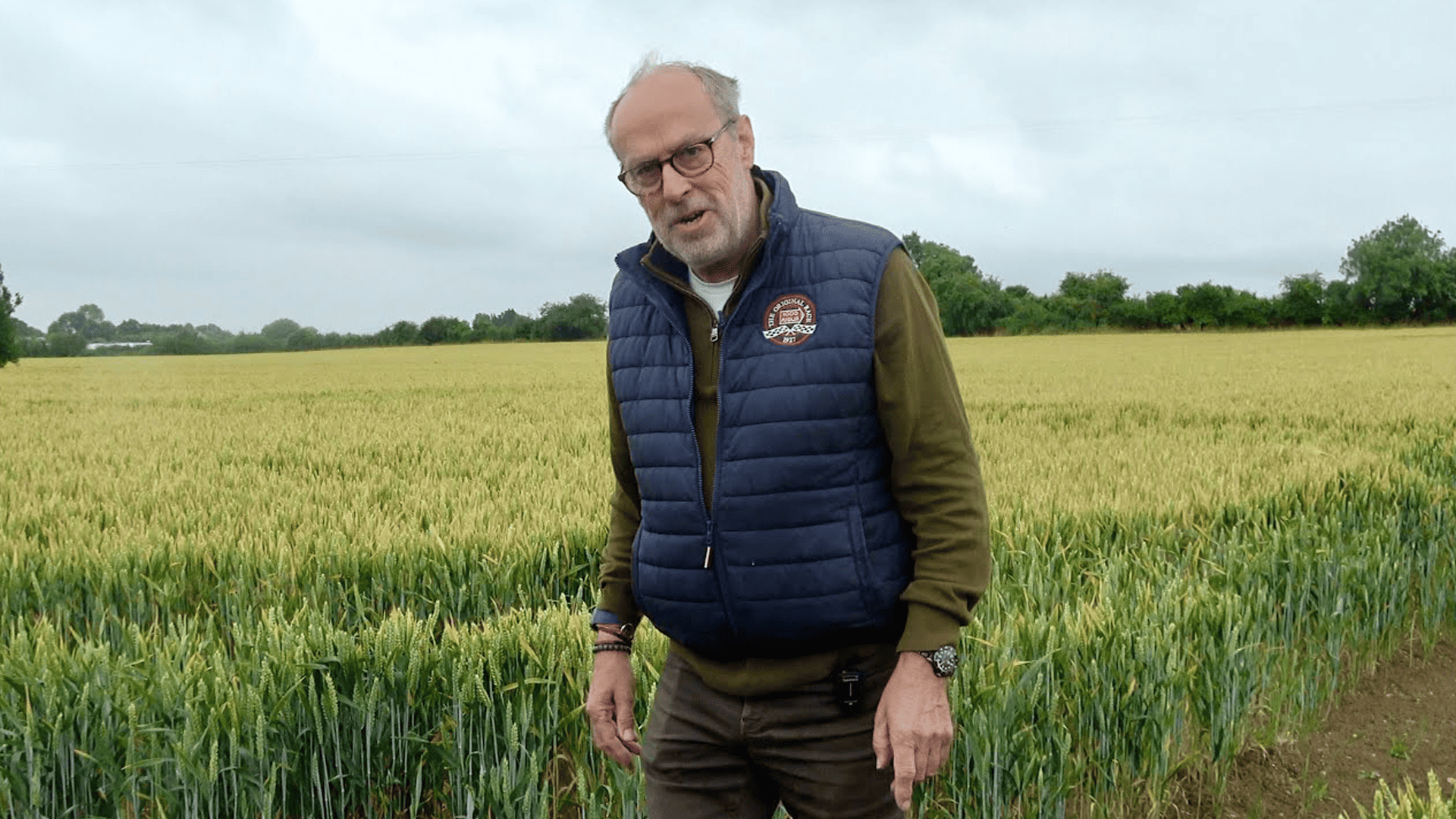 Can these crops handle all this rain?