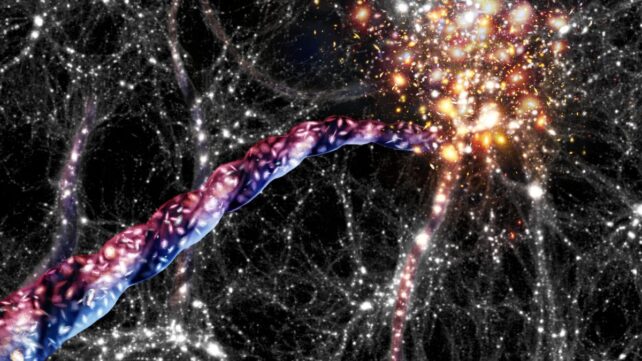 AA1RPtZb This week in science: Vampire squid, a galactic tornado, and much more!