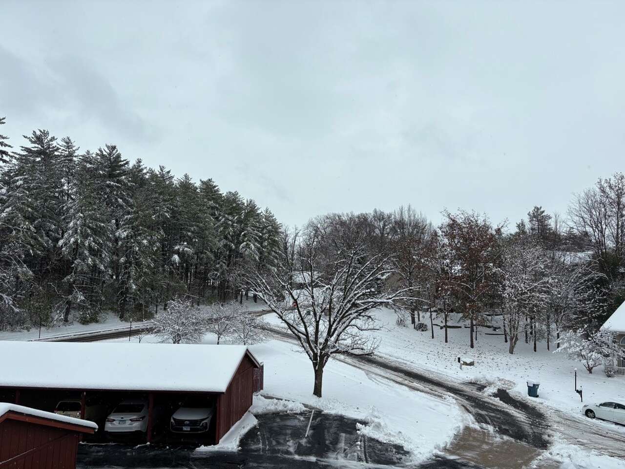 Rare November snowfall marks 50-year first in Edwardsville