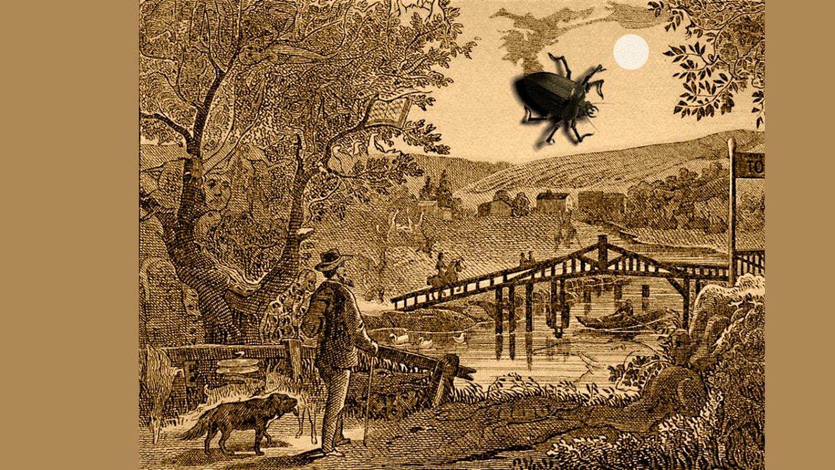 Everyone can see here a classic landscape art, but only a few can spot ...