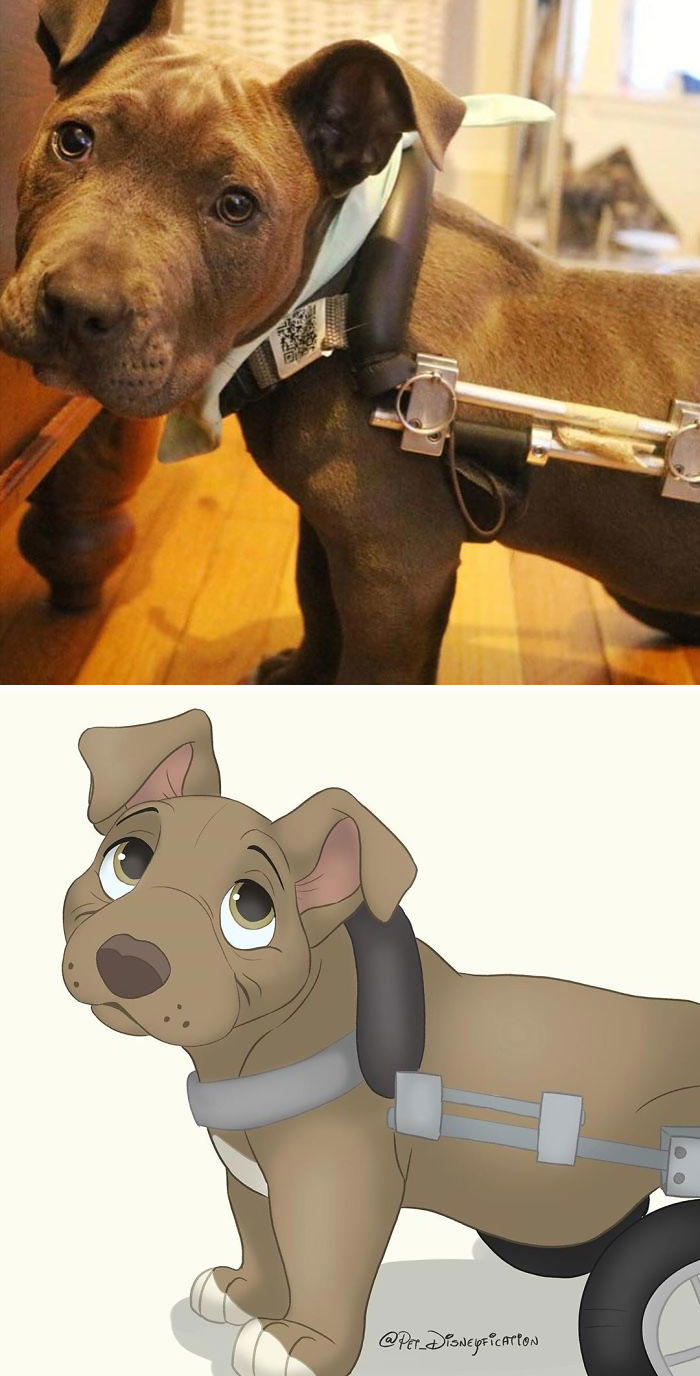 People send pics of their pets to this artist and she Disneyfies them ...