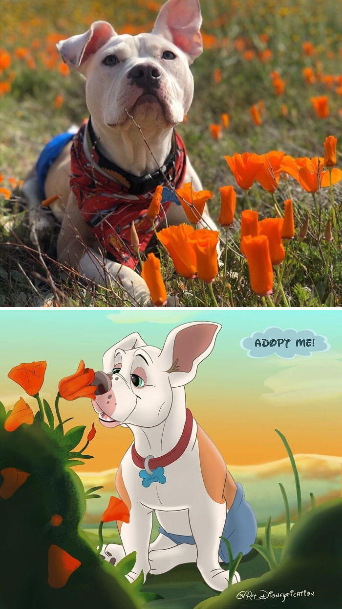 People send pics of their pets to this artist and she Disneyfies them ...