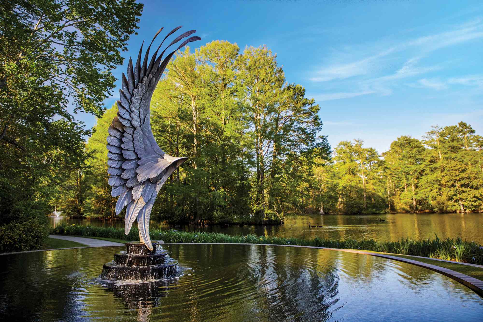 This hidden gem in South Carolina has serene nature trails, a swan ...