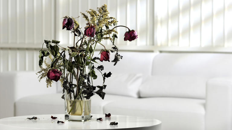 The vase placement mistake that's shortening the life of your cut flowers