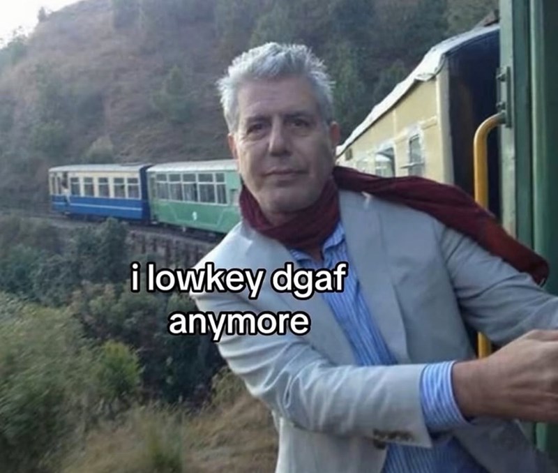 30 memes of the memetic experience