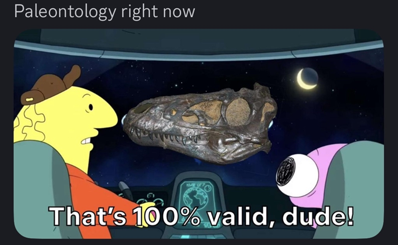 30 memes of the memetic experience
