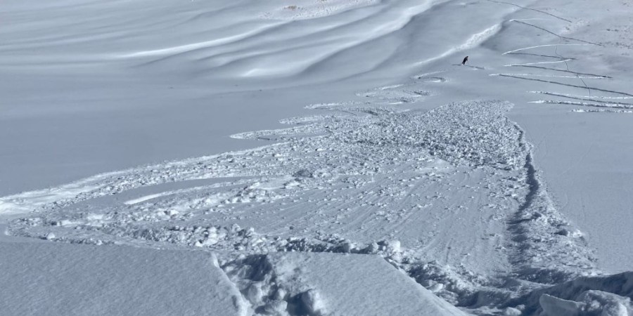 Avalanche warning in effect for parts of Colorado mountains