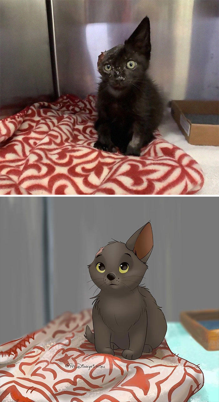 People send pics of their pets to this artist and she Disneyfies them ...