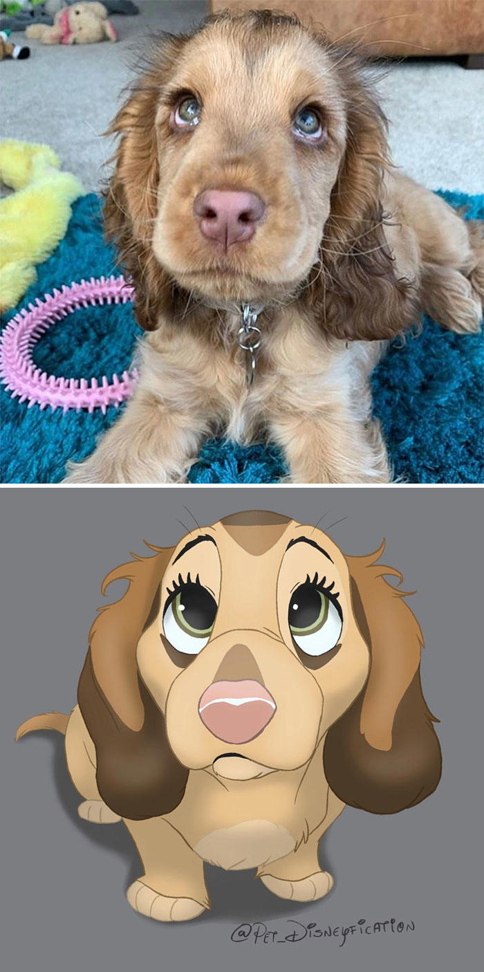 People send pics of their pets to this artist and she Disneyfies them ...