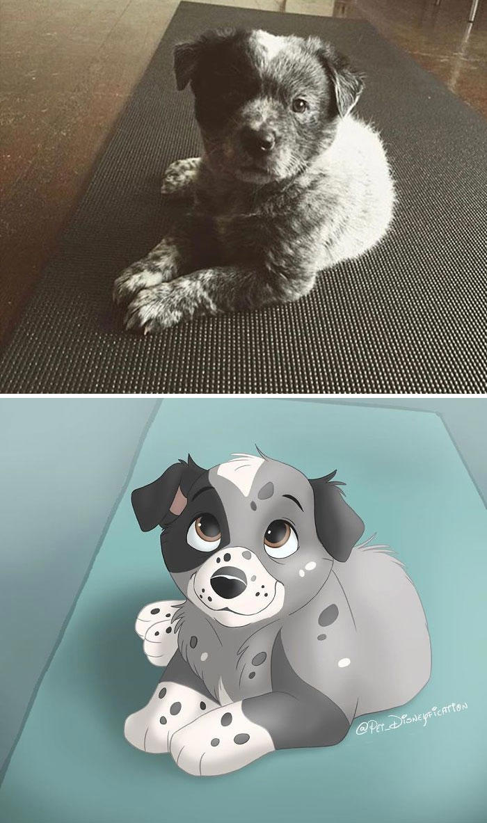 People send pics of their pets to this artist and she Disneyfies them ...