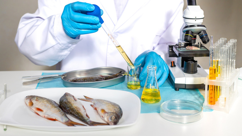 The seafood chain that tests its fish in a lab before it hits your plate