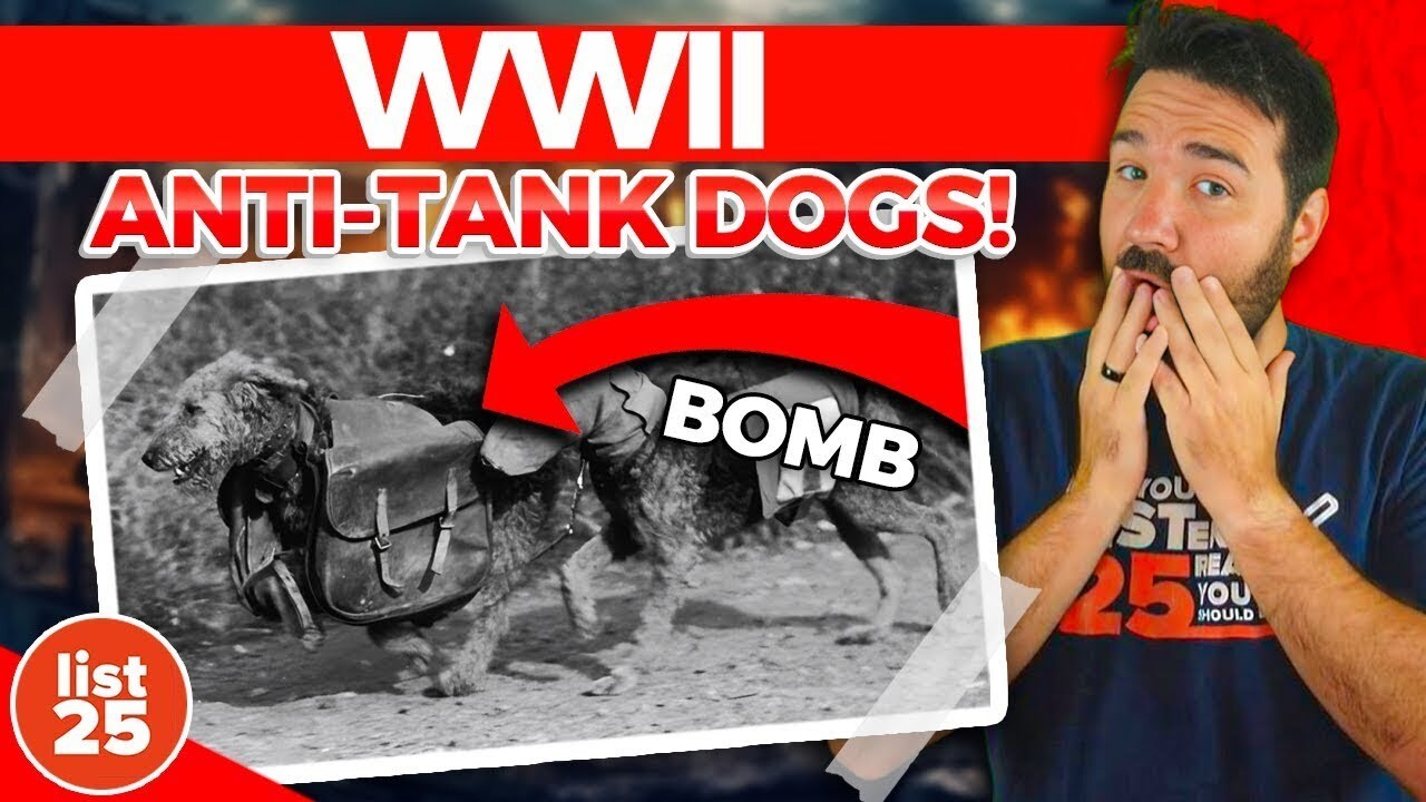 25 fun facts about history