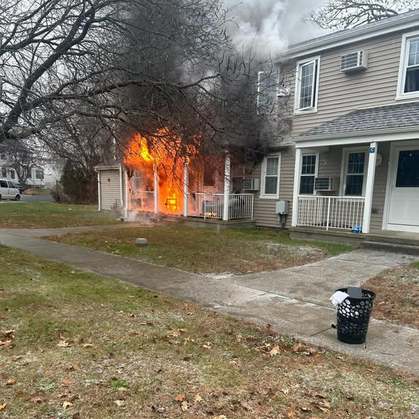 Photos: 3 cats rescued from Milford house fire