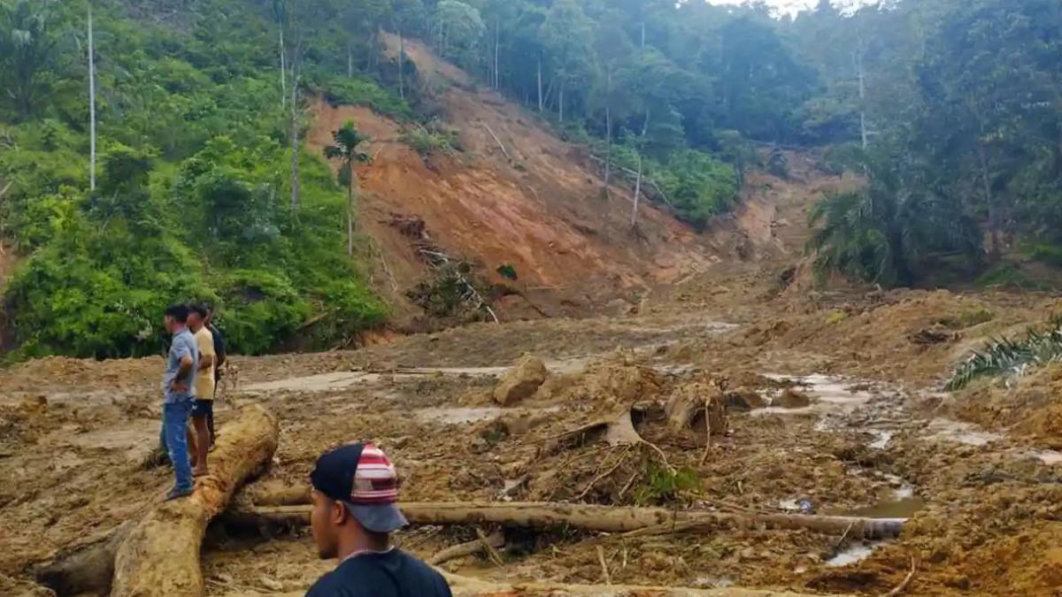Kemendikti Bantu Mahasiswa Terdampak Banjir Sumatera, Bebas UKT 1-2 Semester